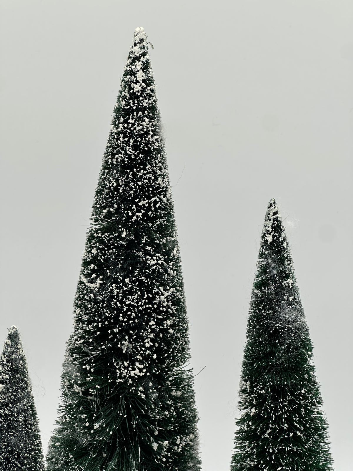 Department 56 - Frosted Fir Trees - Village Accessories