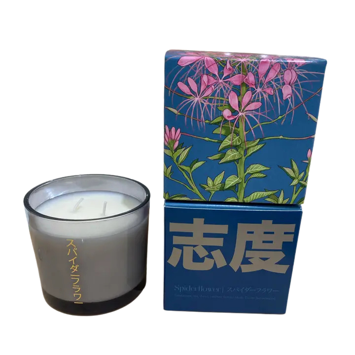 Shido - Spiderflower - Candle